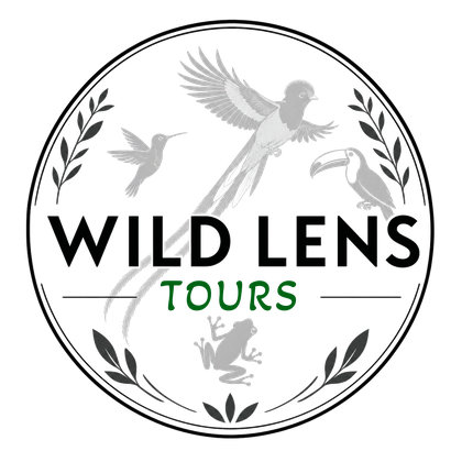 Wild Lens Tours